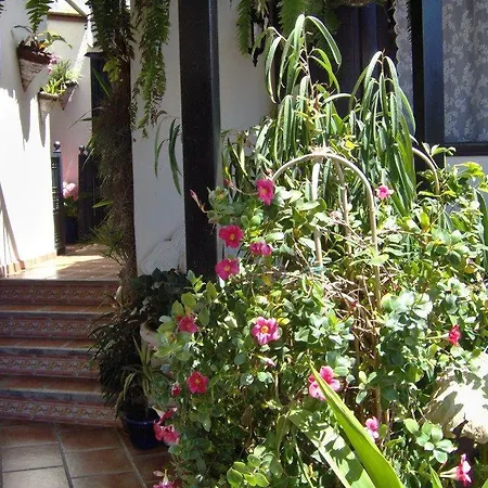 Apartmán Apartamentos-monasterio-de-san-antonio-guenstiges-apartment-zur-strasse