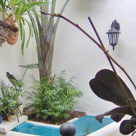 Apartamentos-monasterio-de-san-antonio-guenstiges-apartment-zur-strasse * Icod De Los Vinos